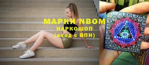 индика Нязепетровск