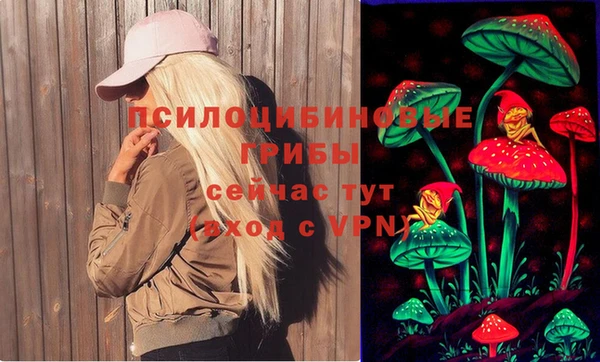 PSILOCYBIN Арсеньев
